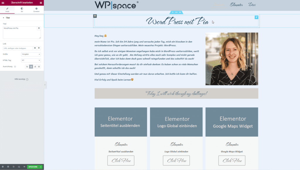 Elementor Widgets